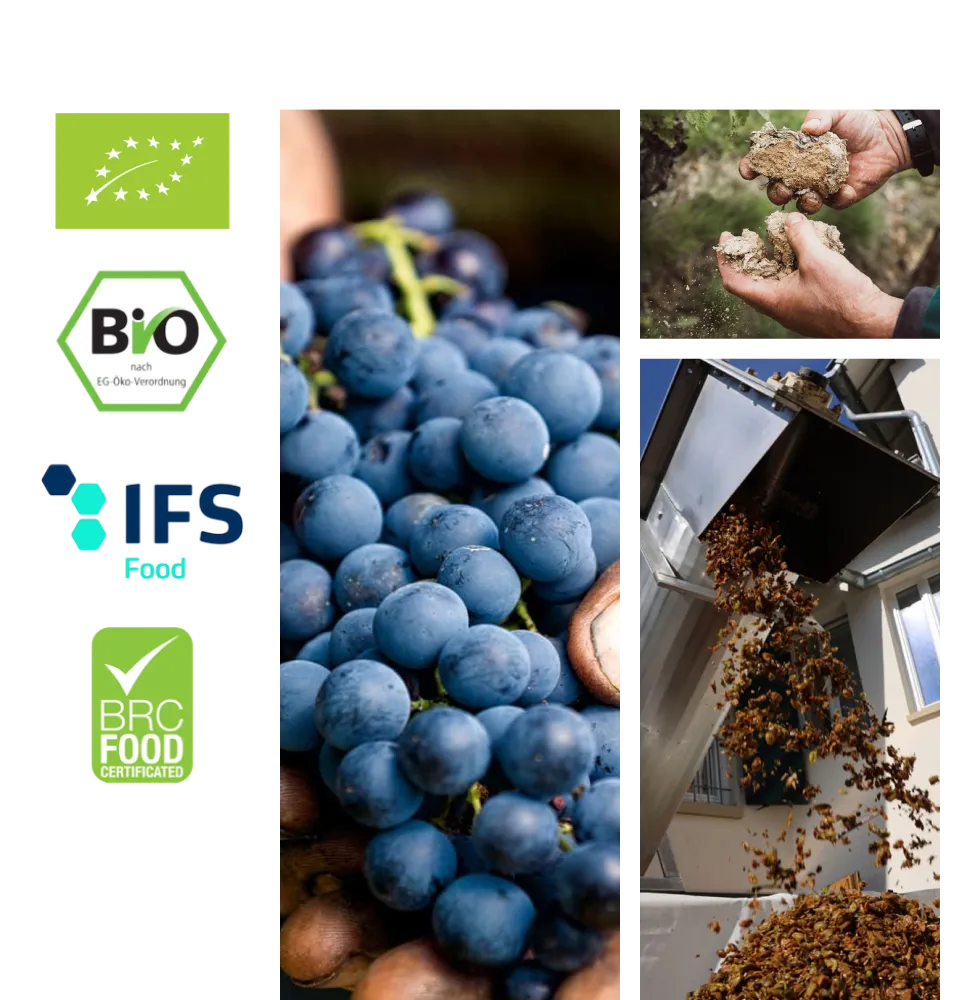 Фото 4 Pieroth Blue Burg Layer Schlosskapelle Qualtiatswein Pussalds