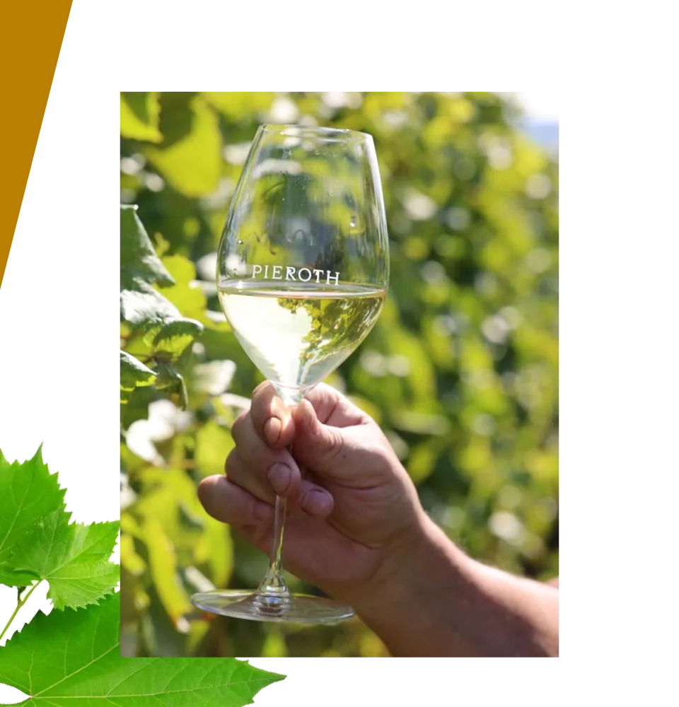 Фото 5 Pieroth Blue Burg Layer Schlosskapelle Qualtiatswein Pussalds