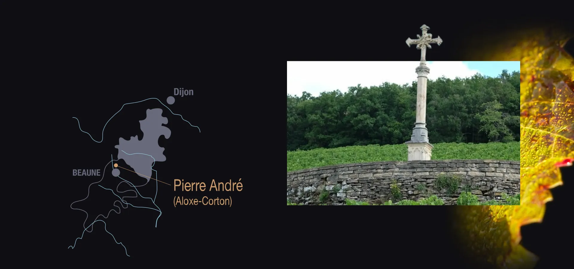 Фото 3 Pierre Andre Saint-Romain AOP