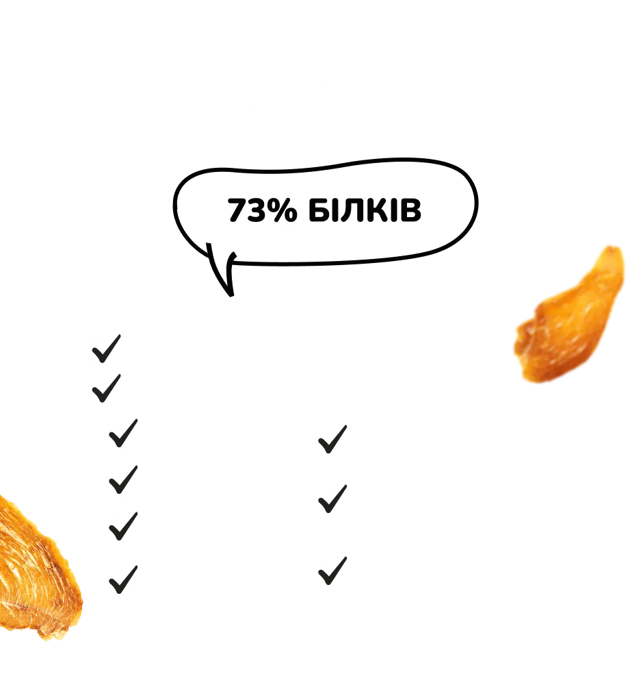 Фото 2-1 РябChick