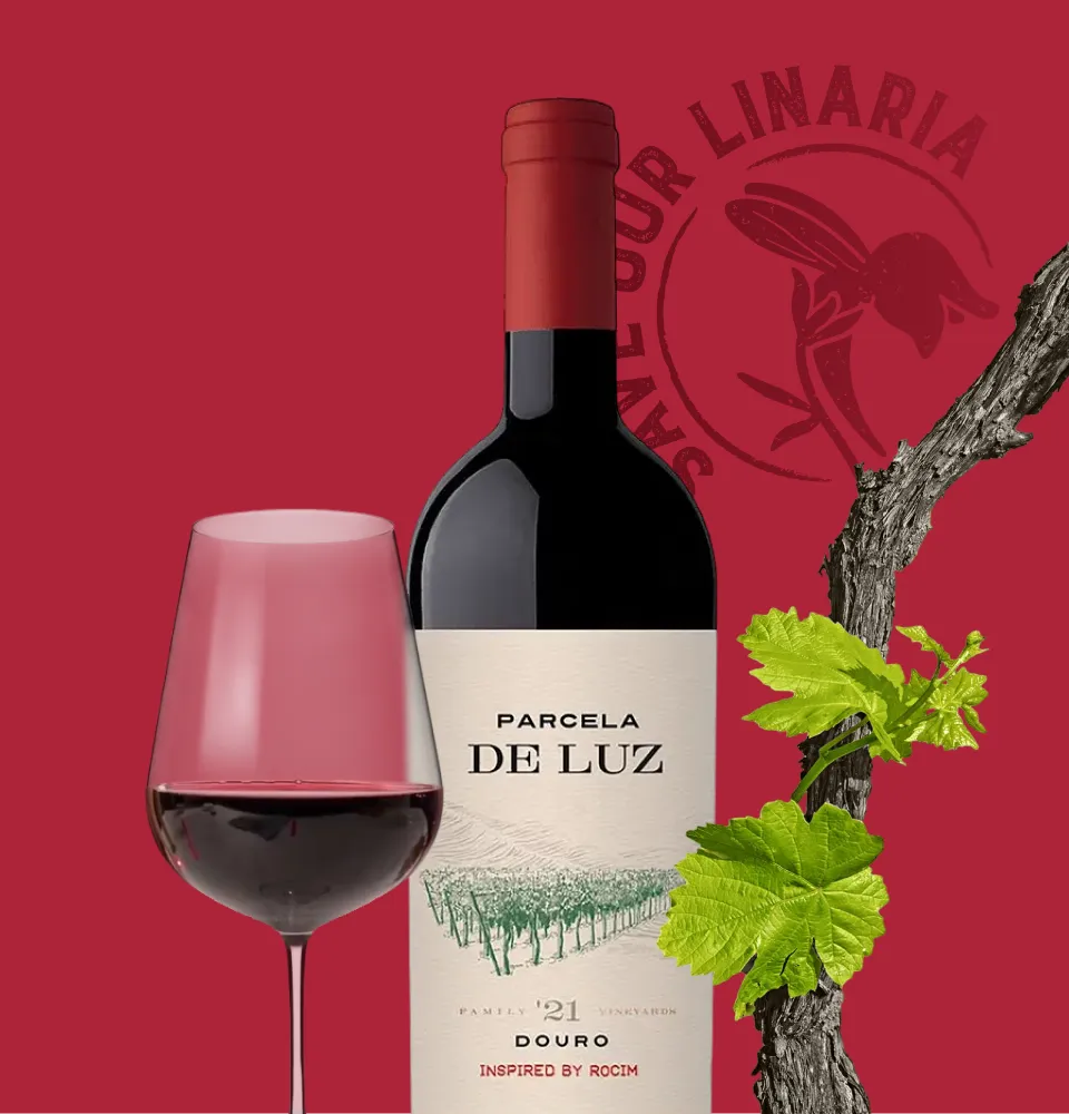 Фото 2 Rocim Parcela de Luz