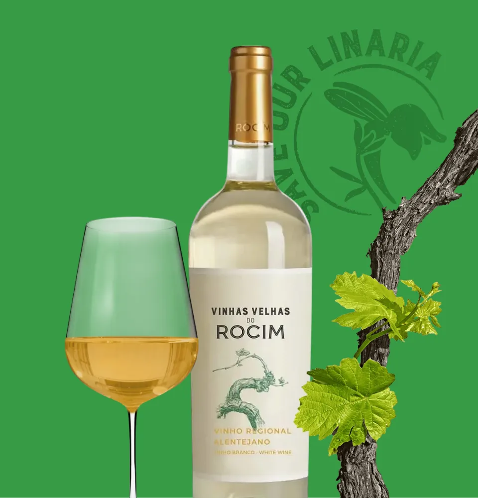 Фото 2 Rocim Vihnas Velhas Branco