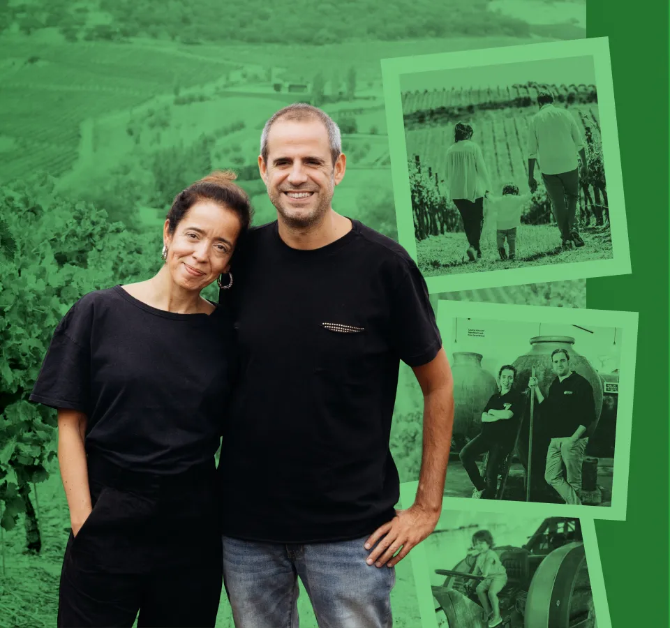 Фото 4-2 Rocim Vihnas Velhas Branco