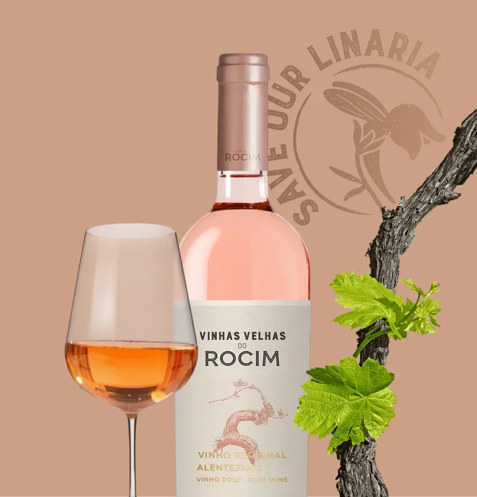 Фото 2 Rocim Vihnas Velhas Rose