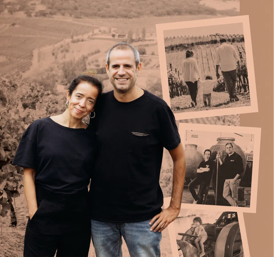 Фото 4-2 Rocim Vihnas Velhas Rose