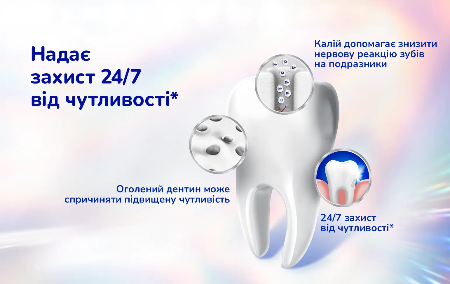 Фото 2 Sensodyne Clinical White