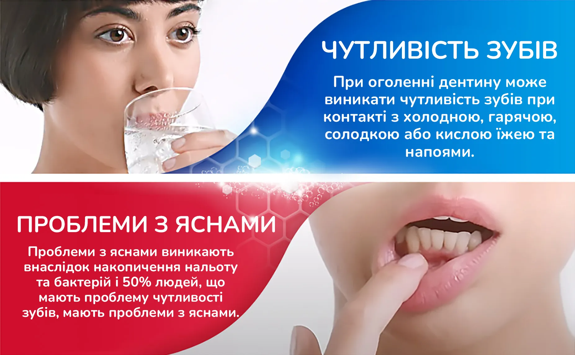 Фото 2 Sensodyne Sensivity & Gum