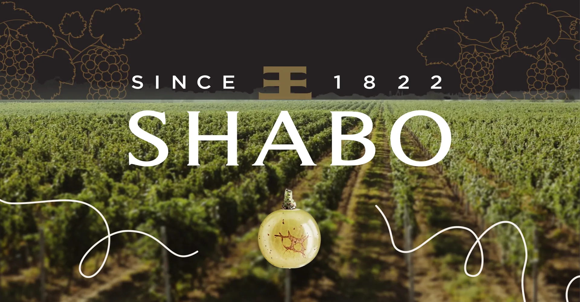 Фото 3 SHABO Classic VS