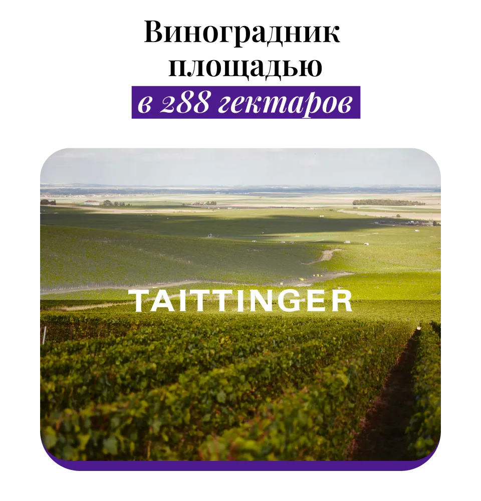 Фото 4-1 Taittinger Nocturne Sec