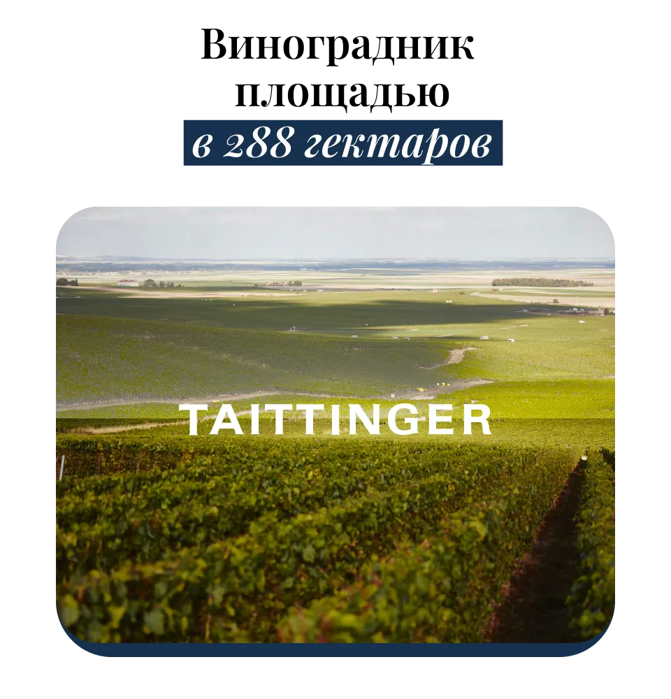 Фото 4-1 Taittinger Prelude Grands Crus Brut