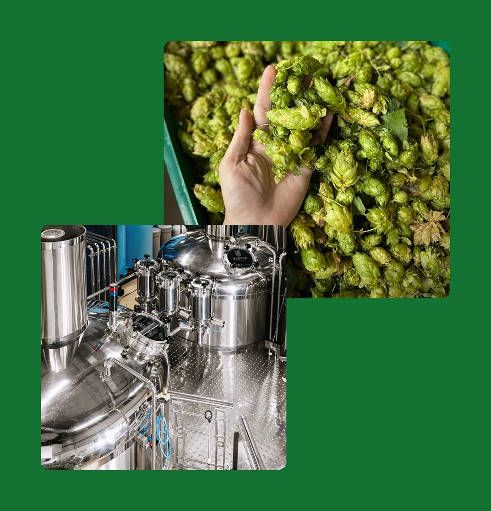 Фото 4 VARVAR Hoppy Lager