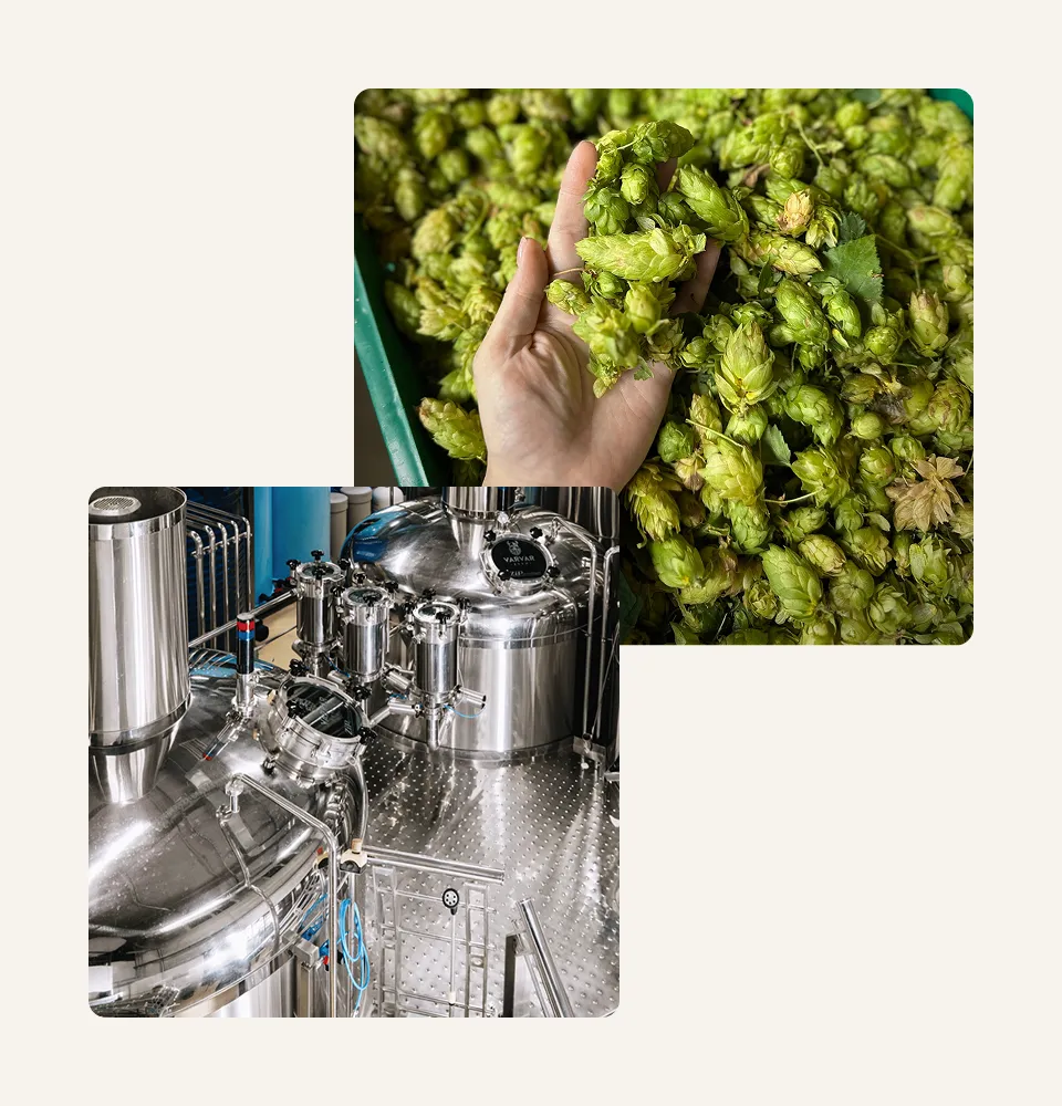 Фото 4 VARVAR Kohaty IPA