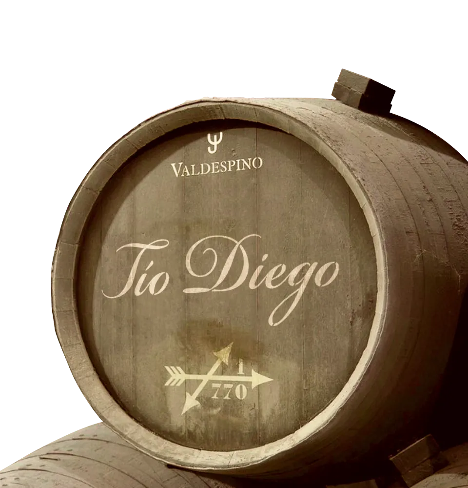 Фото 4 Valdespino Amontillado Tio Diego