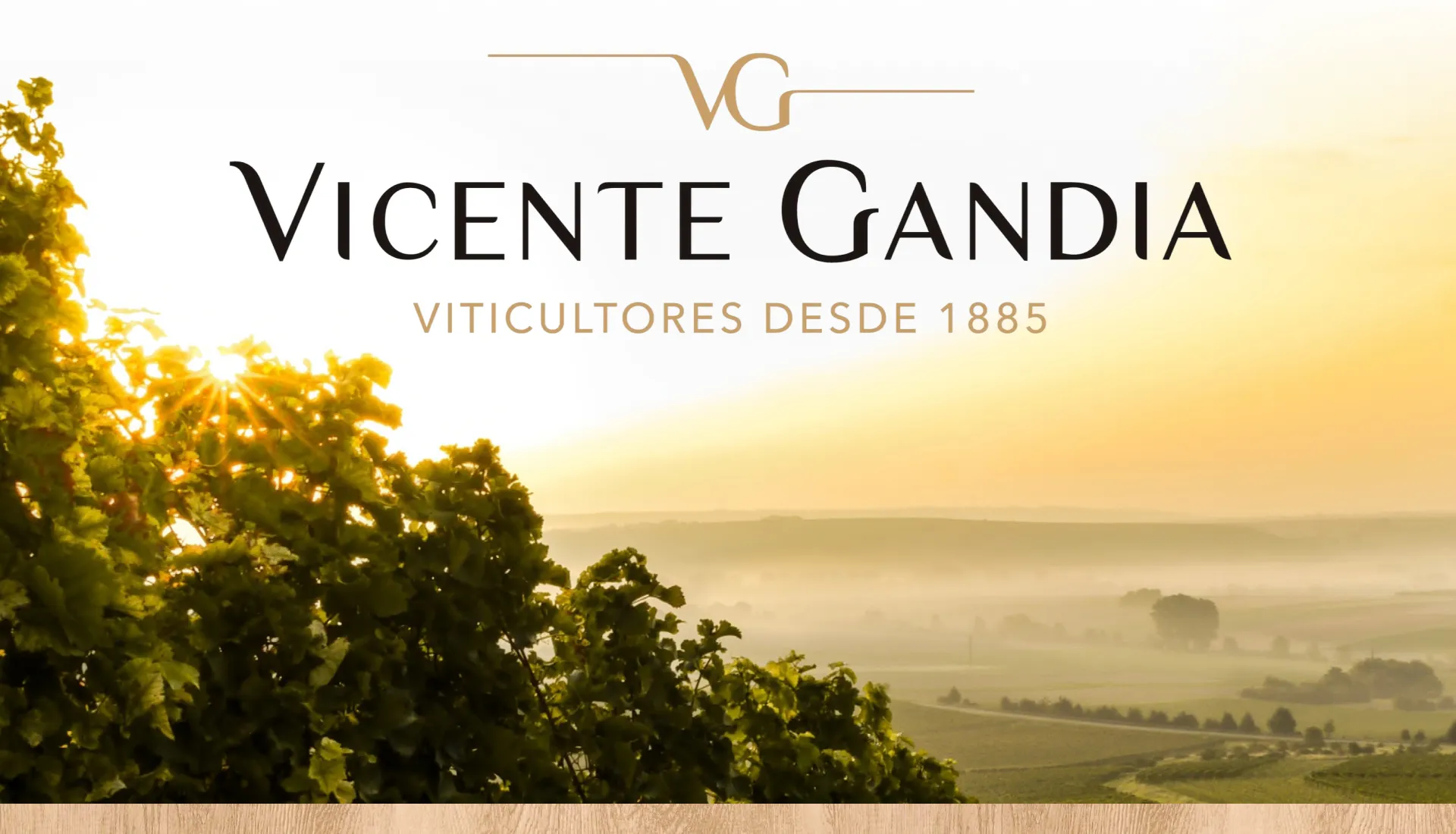 Фото 3 Vicente Gandia Verema Brut