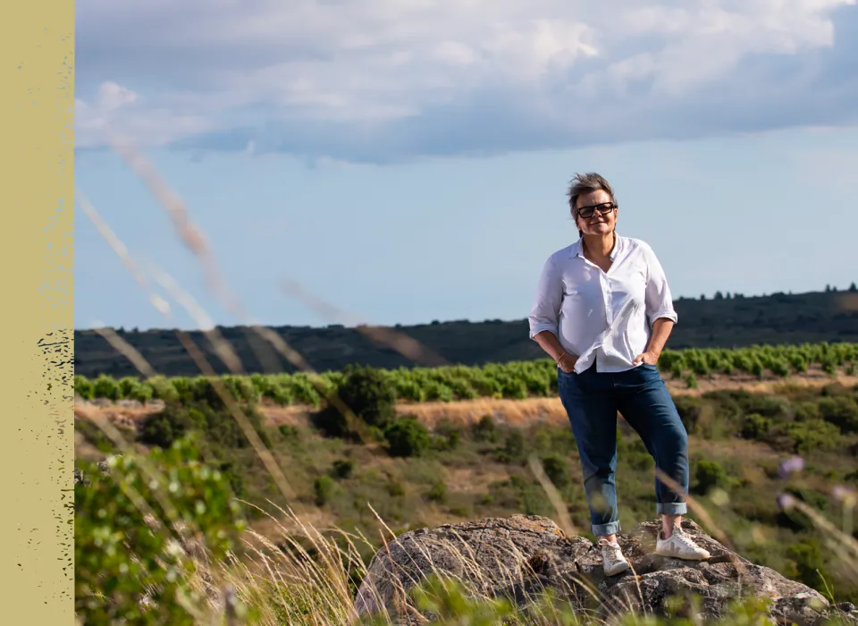 Фото 4-2 Vignobles Jeanjean Pic Saint Loup Domaine Des Rocs Sancto Lupo Bio