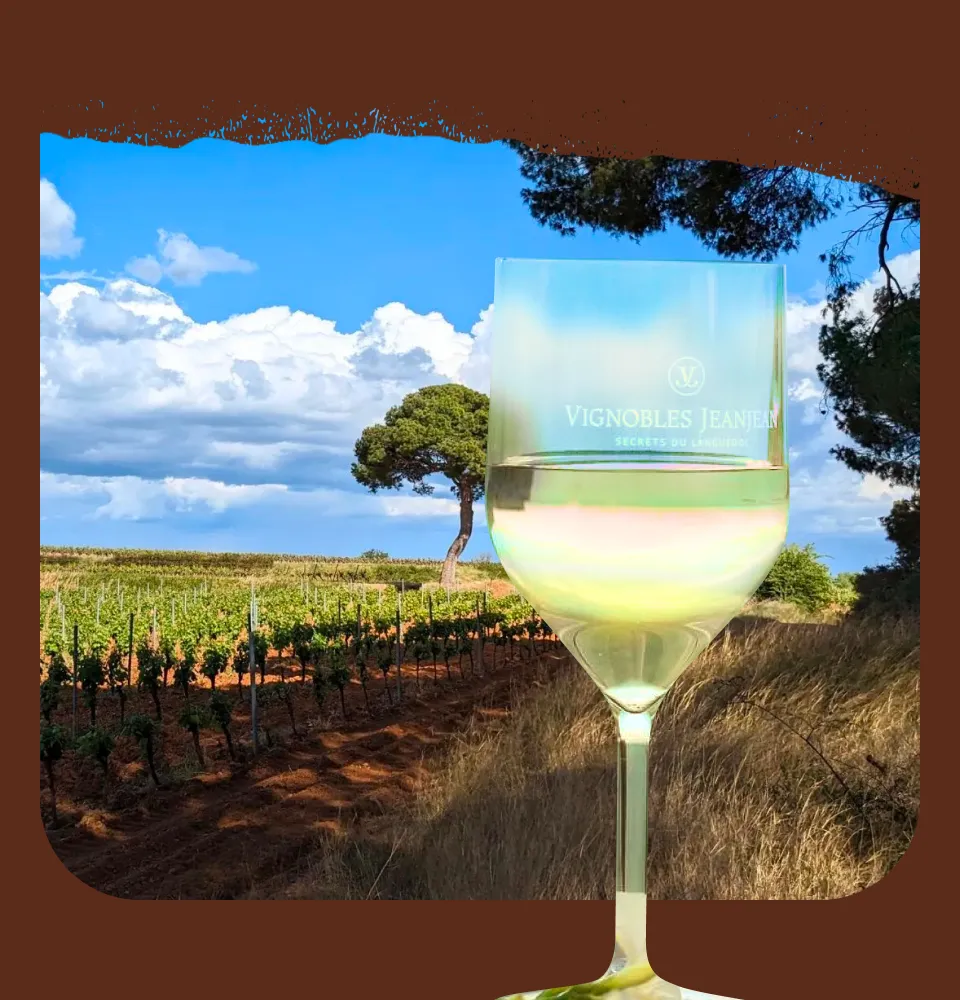 Фото 5 Vignobles Jeanjean Vin De Pays D'oc Secret De Lunes Chardonnay