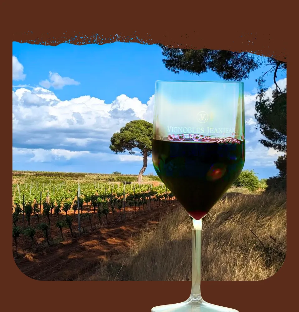Фото 5 Vignobles Jeanjean Vin De Pays D'oc Secret de Lunes Pinot Noir Bio