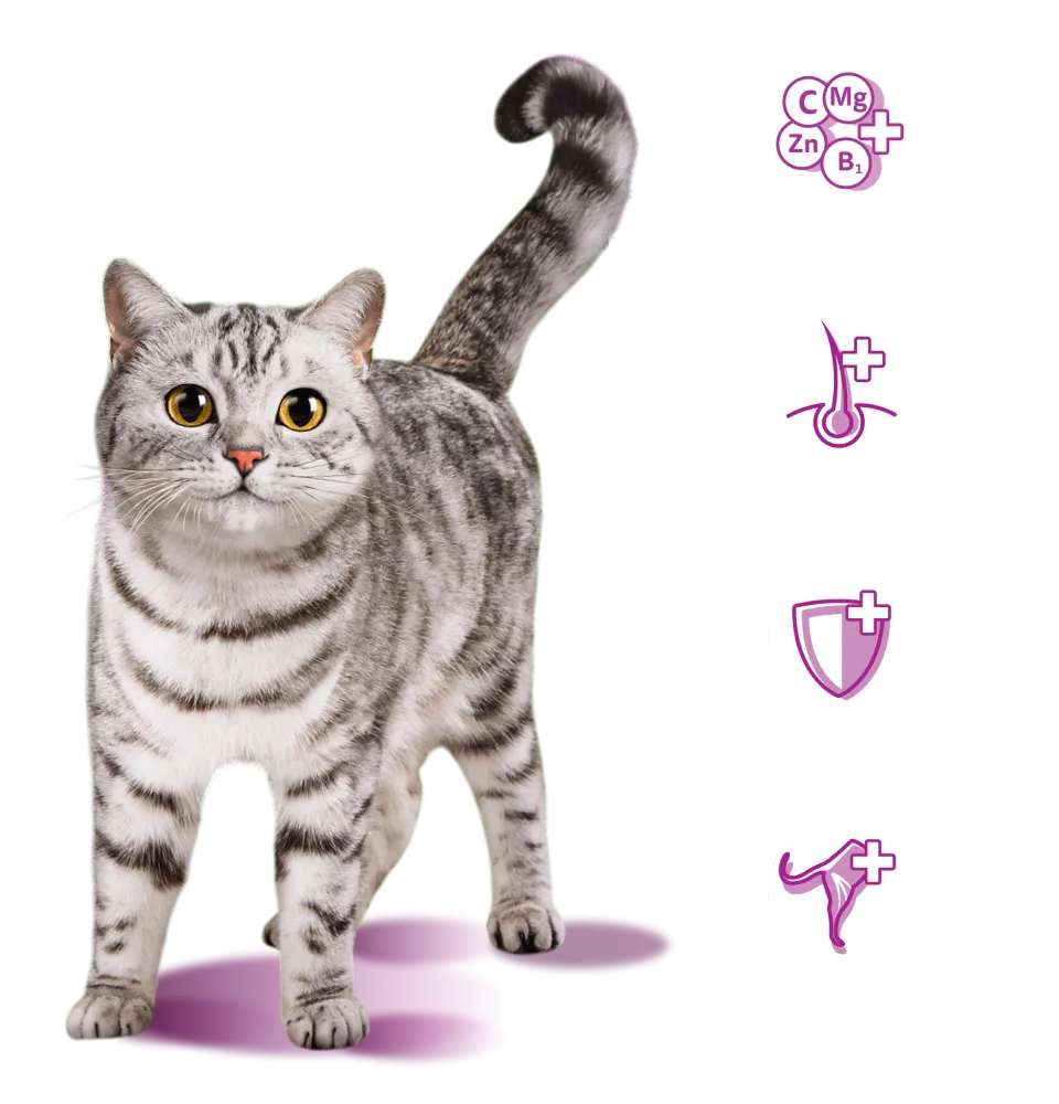 Фото 2 Whiskas тунец и лосось в желе