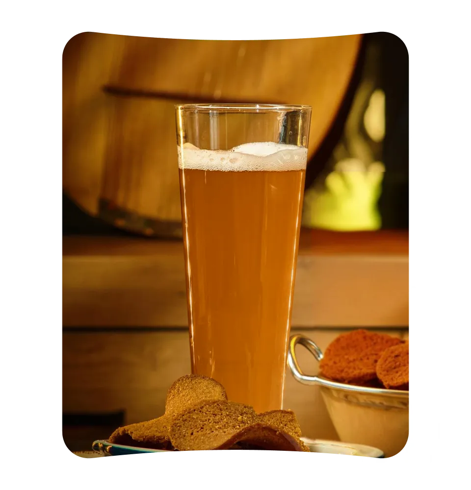 Фото 2 Жашківське Лагер