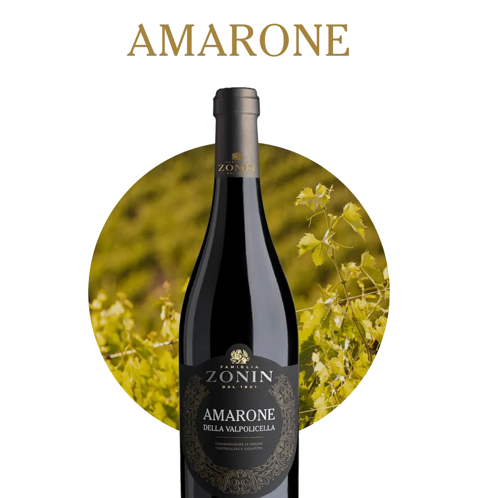 Фото 2 Zonin Amarone della Valpolicella Classico