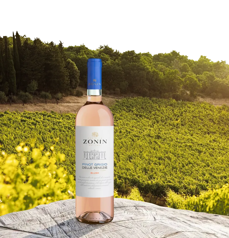 Фото 5 Zonin Pinot Grigio Blush