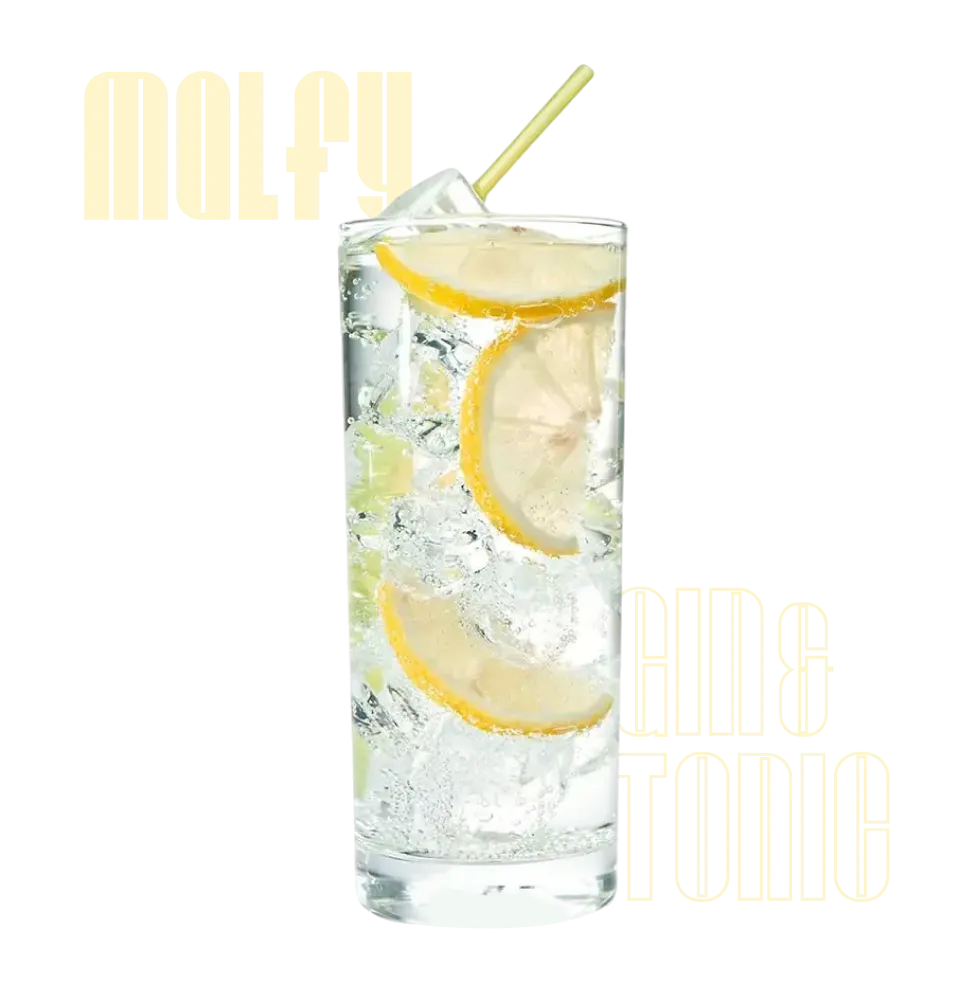 Фото 2 Коктейль Malfy Gin&Tonic