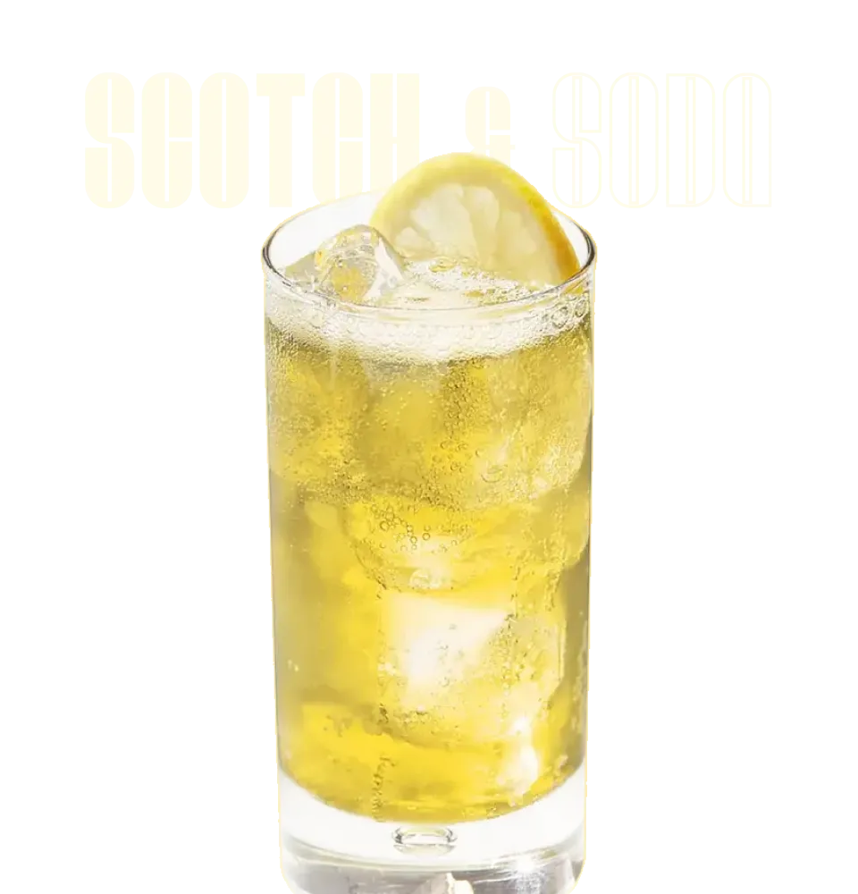 Фото 2 Коктейль Scotch & Soda Hankey Bannister