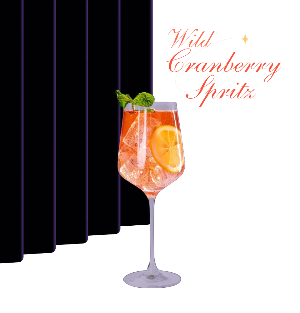 Фото 1 Коктейль Wild Cranberry Spritz