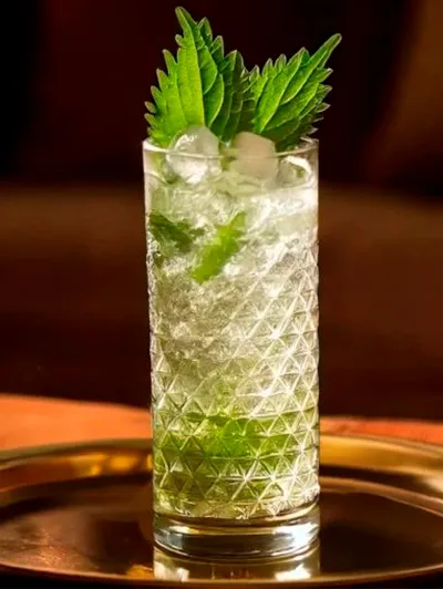 Cucumber shisojito
