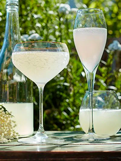 Elderflower Champagne
