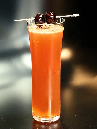 Sloe Gin Fizz