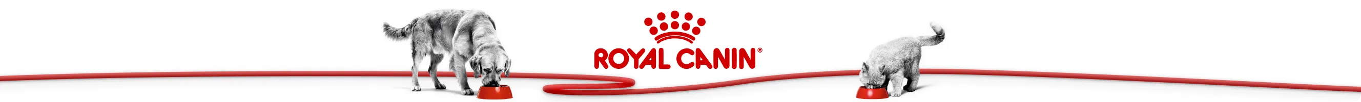 Royal Canin divider