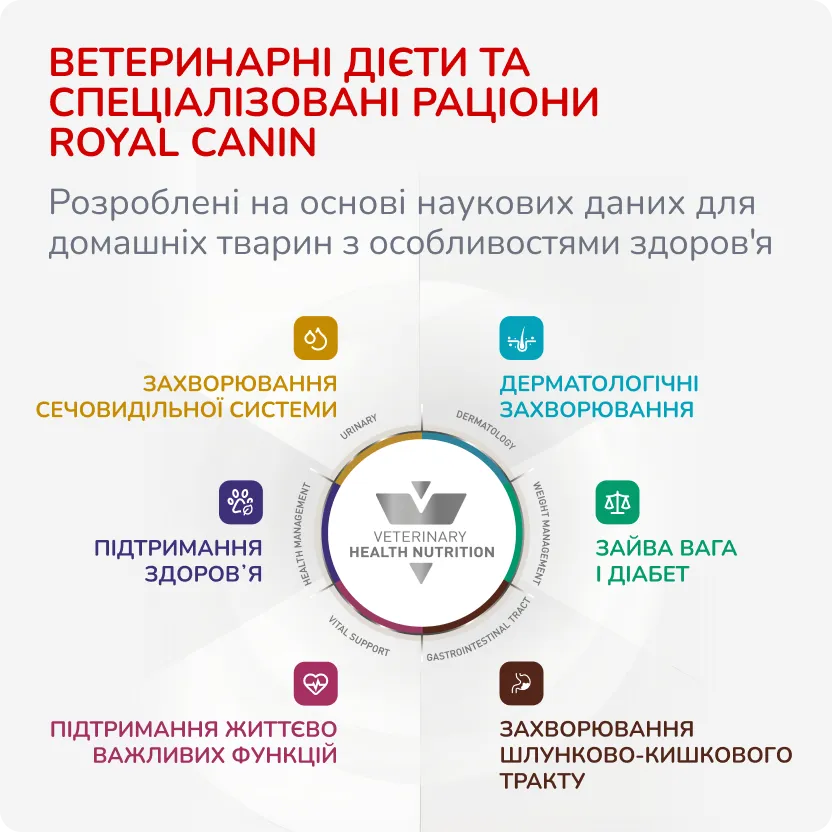 5й слайд для собак