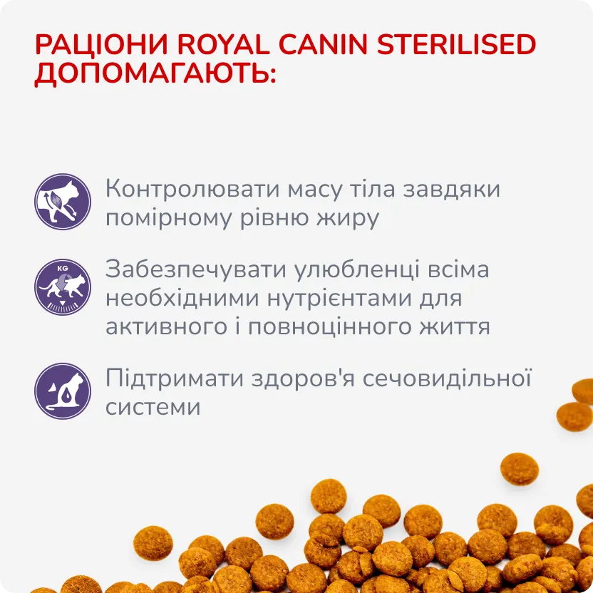 2й слайд для котів