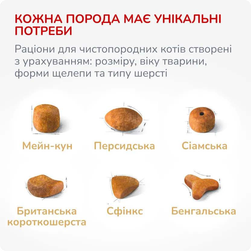 3й слайд для котів