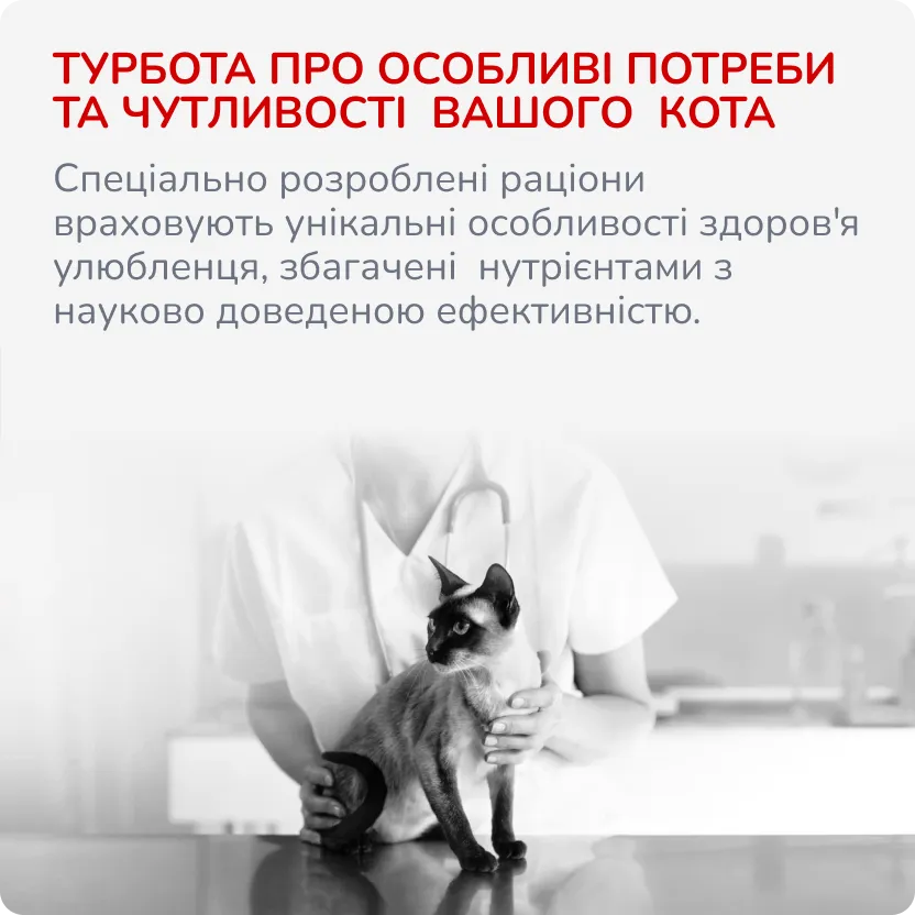 4й слайд для котів