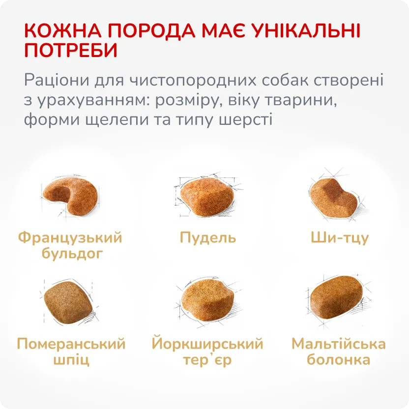 3й слайд для собак