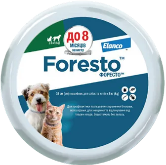 Форесто